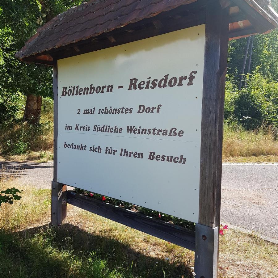 Ferienhaus Alexandra Bollenborn Екстериор снимка